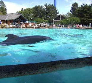 Sea World 