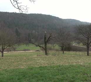 Unterjesinger Wengertwegle