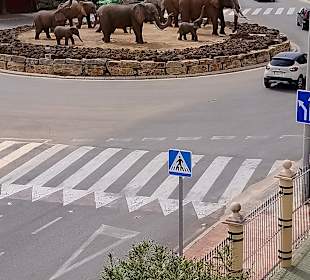 Stadtrundgang Benalmadena 