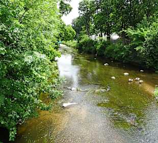 Fürstlich Fürstenbergische Parkanlage