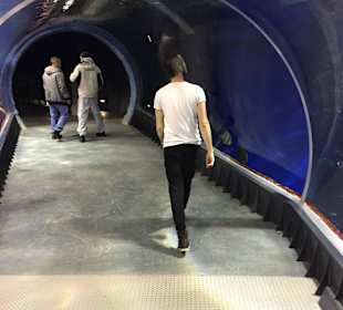 Tunel podwodny