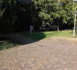 Alter Botanischer Garten