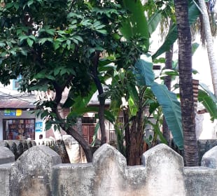 Stadtrundgang Stone Town