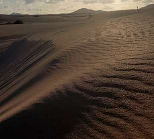 Naturpark Dünen von Corralejo