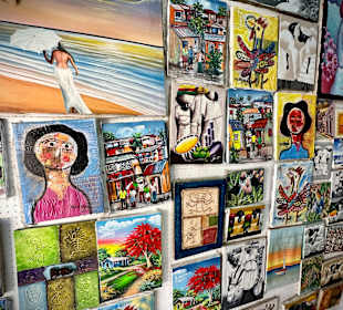 Stadtrundfahrt Bavaro