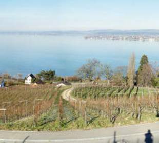 Arenenberg