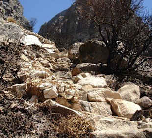 Wanderung auf denTafelberg