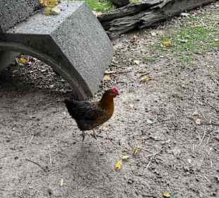Steinerbos Belevenispark