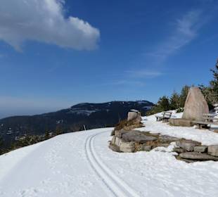 Wellnesshotel Forsthaus Auerhahn