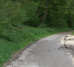 Ruine Burg Kaltenburg