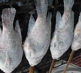 Salz-Fisch am Stock