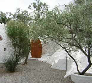 Garten des Dali Hauses