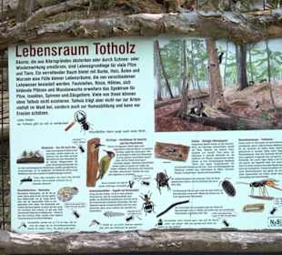 Eurasienbereich - Lebensraum Totholz