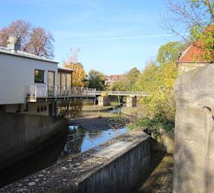 Mühlengraben an der Bischofsmühle