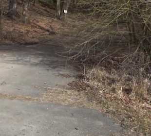 Rundwanderung durch den Rauhen Rammert Hemmendorf