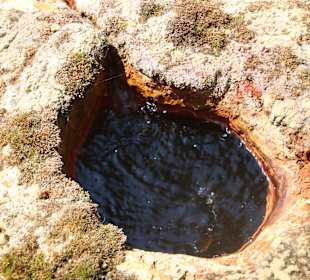 .....wenigstens Blubberlöcher!