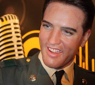 Elvis
