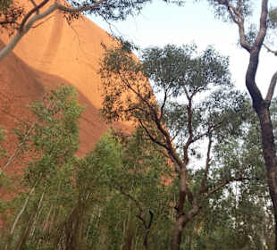 Uluru