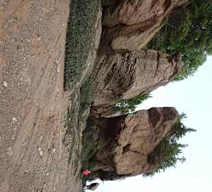 Teilansicht der Hopewell Rocks