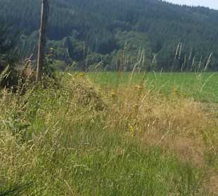 Abwechslungsreiche Landschaft