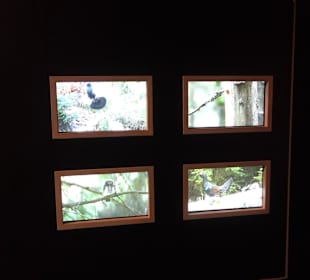 Naturparkzentrum Ruhestein