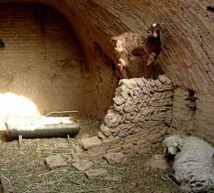 Ruiny Kharanagh