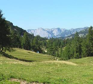 Tauplitzalm