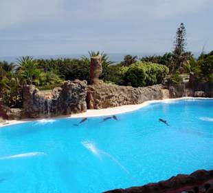 Loro Park - Delfin - Show