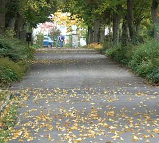 Hauptfriedhof Friedrichshafen