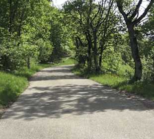 Kreuzweg auf dem Hohenrechberg