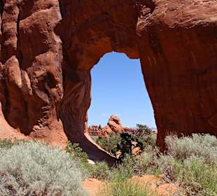 Pine Tree Arch