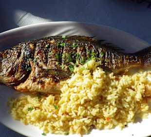Barsch Fangfrisch (Limnionas Restaurant)