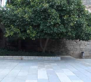 Privathafen La Almudaina