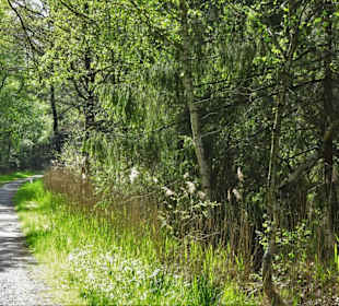 Eindrücke vom Rundweg um den Bederkesaer See 
