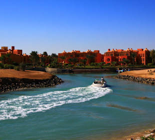 Rund um´s Turtle House