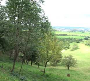 Themenweg Kaiserweg Zimmern