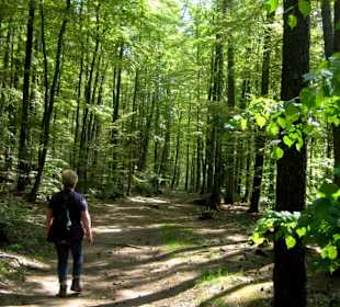 Hohlweg zum Beckenhof