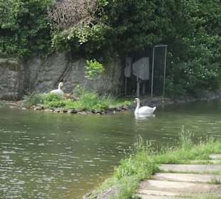 Schloss Bojnice Teich