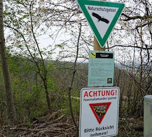 Leudelsbachtal