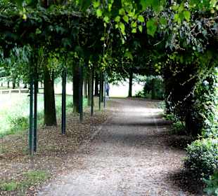 Impressionen aus dem Zitadellenpark Vechta