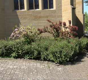 Evangelische Kirche Altingen