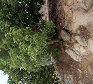 Anemourion in Anamur