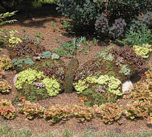 Schmetterling aus Blumen