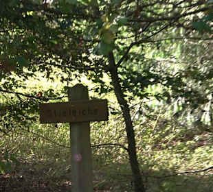 Arboretum Bondorf