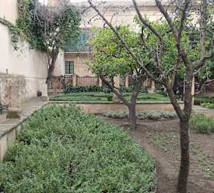 Beim Jardí del Bisbe, dem Bischofsgarten in Palma