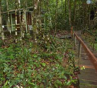 Weg zum Cachoeira do Iracema