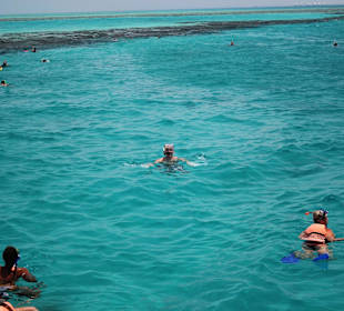 Baden und Schnorcheln an der Station am Riff