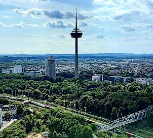 Ausblick