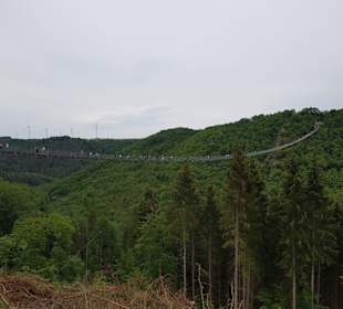 Die Brücke von unten 