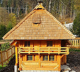 Wandern Titisee-Neustadt